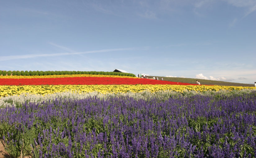 【かんのファーム】富良野・美瑛のメインストリート 国道237号線沿いの観光農園