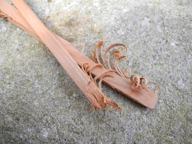 【キャンピングカーコラム　バックナンバー第212回】焚き火をもっと楽しむフェザースティック（2020年4月24日）