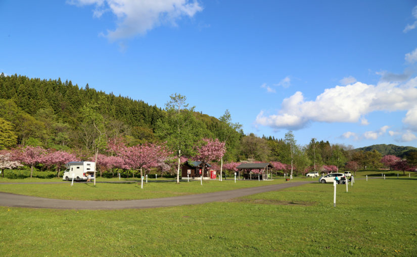 函館観光のベース基地として利用できる 自然豊かな無料オートキャンプ場